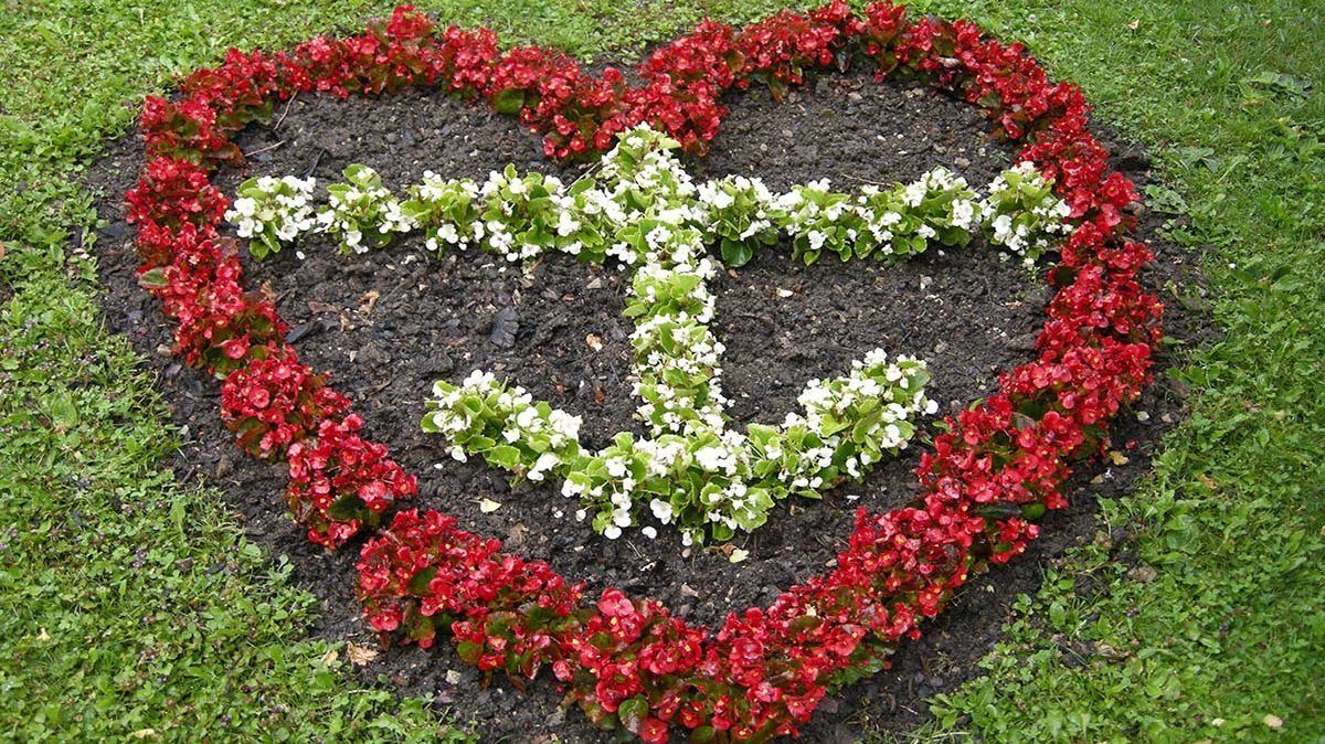 Engagement und Ehrenamt Engagement und Ehrenamt