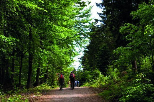 Teuchel-Wald aktiv