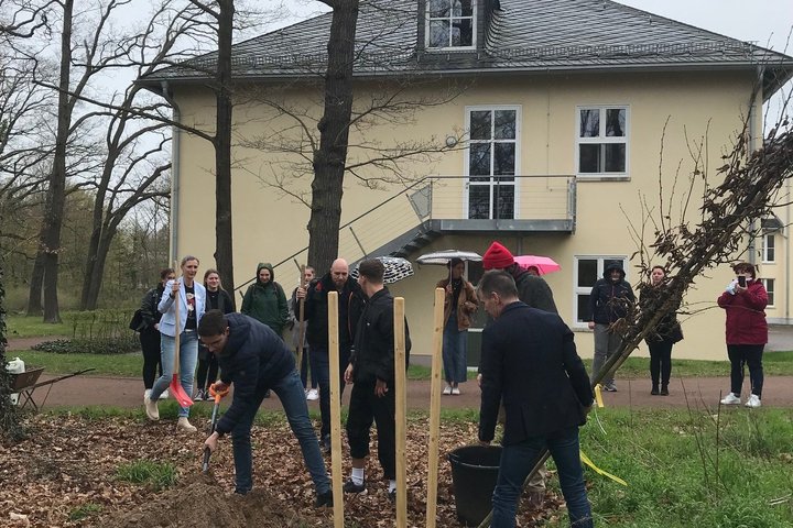 AZUBIS pflanzen Bäume im Krankenhausgelände in Dölau