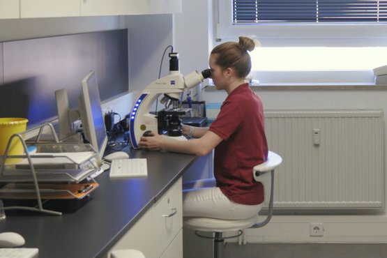 Annika Völkel arbeitet im Labor im MVZ Martha Maria Urologie
