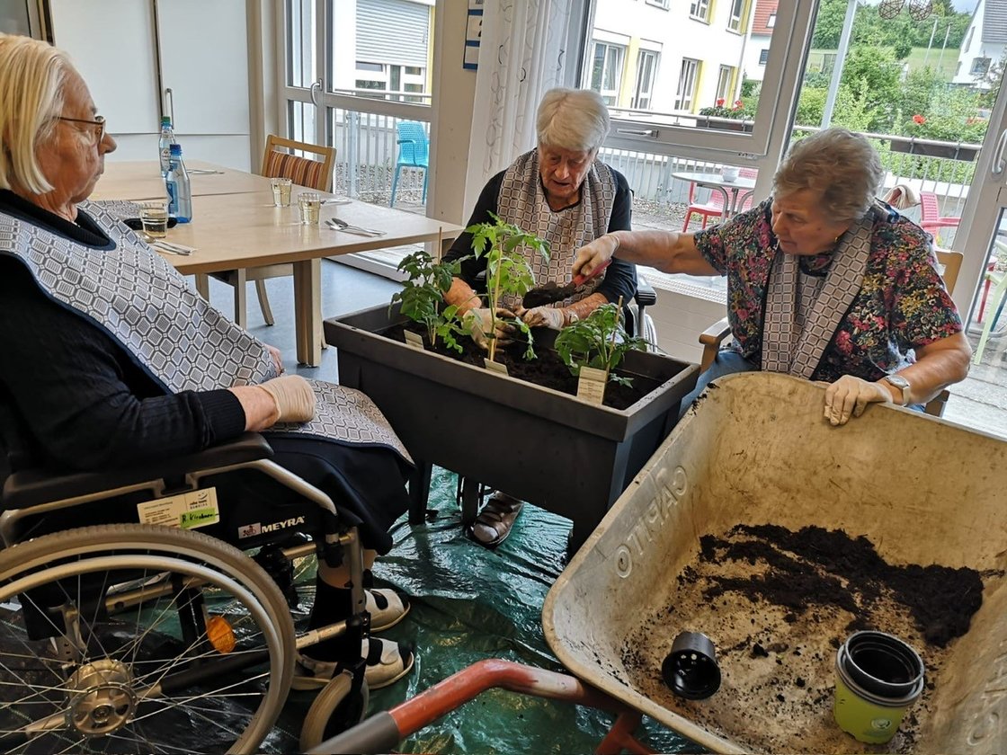 Drei ältere Frauen pflanzen gemeinsam in einem Raum im Seniorenzentrum.