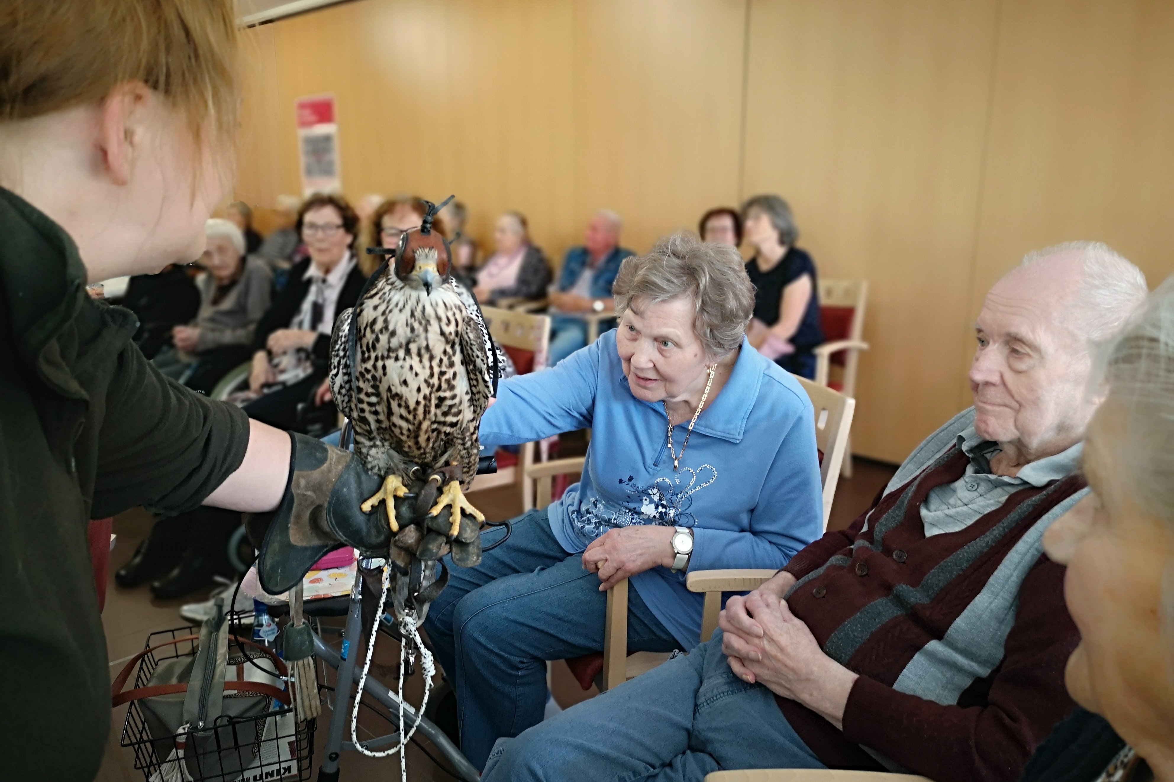 Senioren im Eckentaler Zentrum betrachten einen Falken im Gemeinschaftsraum.