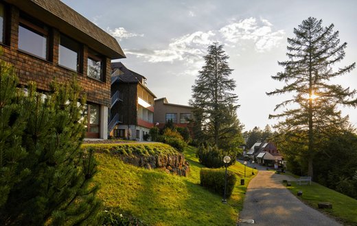 Klinik Hohenfreudenstadt im Grünen bei Sonnenuntergang, umgeben von Bäumen.