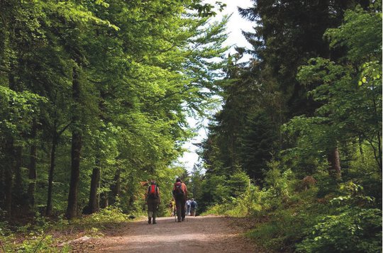 Wandern im Schwarzwald