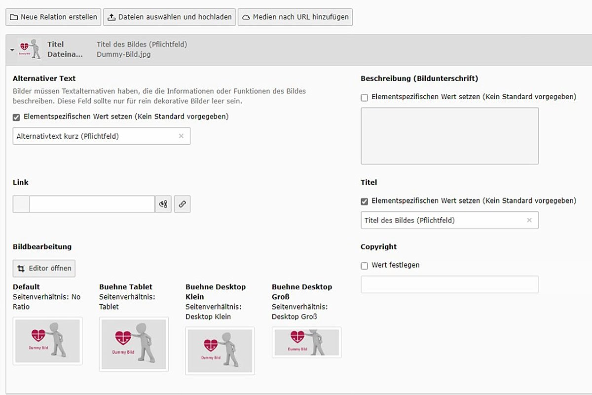 CMS-Oberfläche für Alternativtext und Bildbearbeitung mit Dummy-Bild-Optionen.
