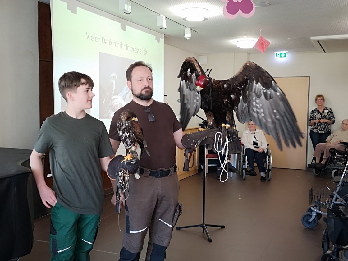 Falkner zeigt Greifvögel im Seniorenzentrum Eckental, Bewohner schauen zu.