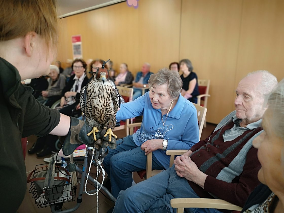 Senioren im Eckentaler Zentrum betrachten einen Falken im Gemeinschaftsraum.