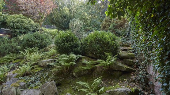 Wald-Erleben_