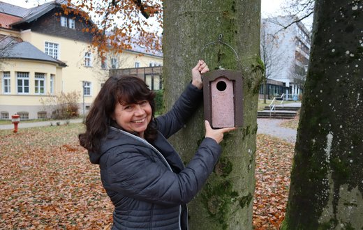 Frau hängt Nistkasten an Baum im Krankenhausgelände auf, um Biodiversität zu fördern.