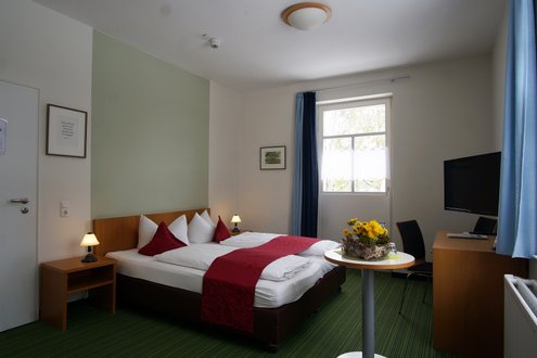 Helles Doppelzimmer im Hotel mit Doppelbett, TV und Blumendekoration.