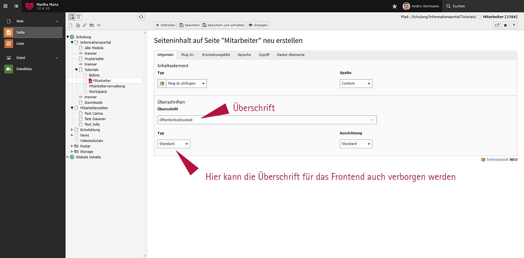TYPO3 Backend zeigt Eingabefeld für Überschrift mit Optionen.