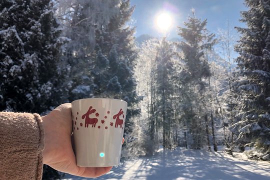 Eine Person hält eine Tasse im Winterwald im Sonnenschein.