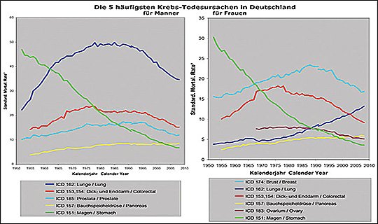 Krebs-Todesursachen in Deutschland