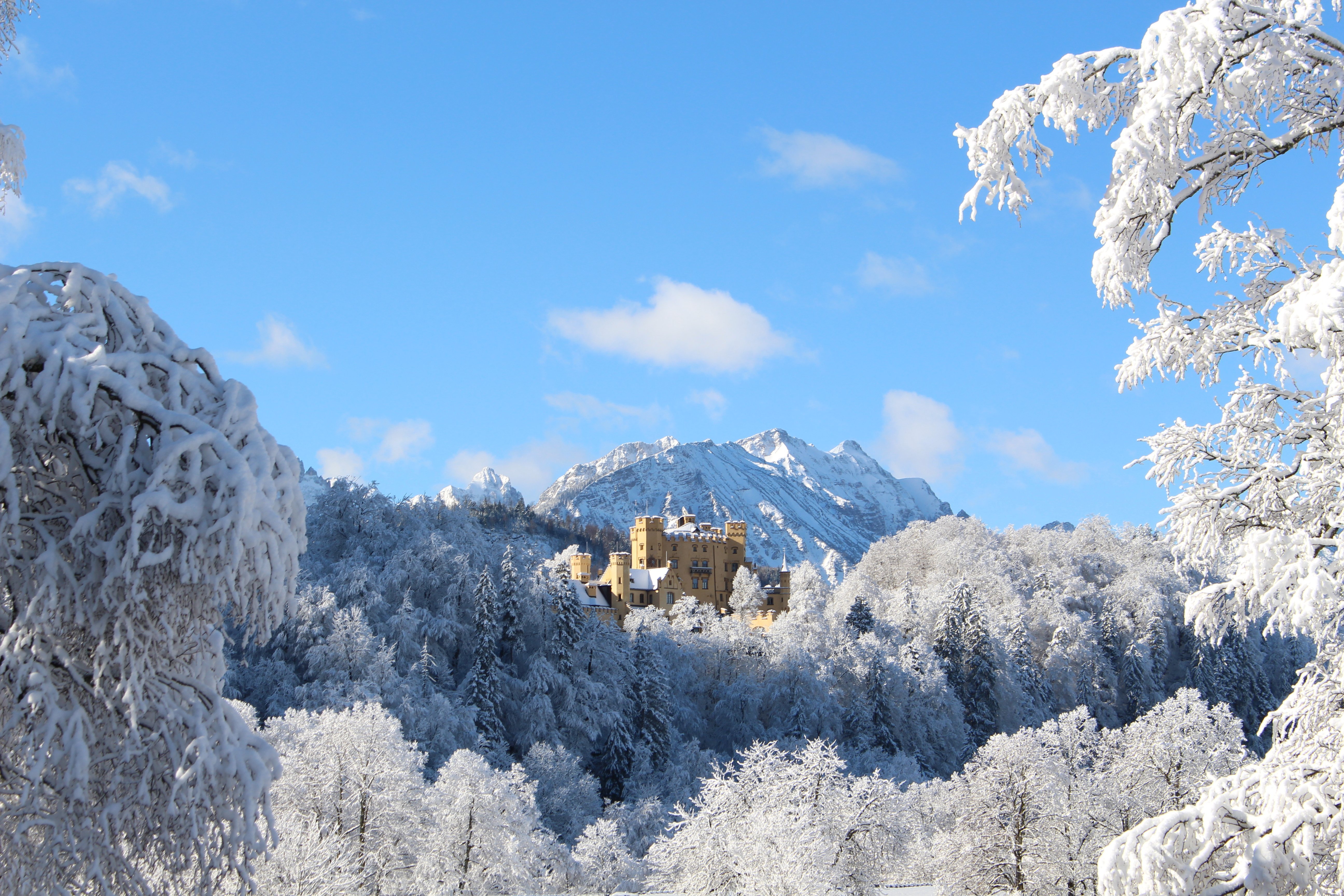Das Schloss Hohenschwangau im Schnee.
