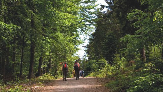 Wanderung