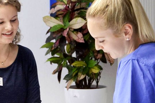 Karriere und Ausbildung