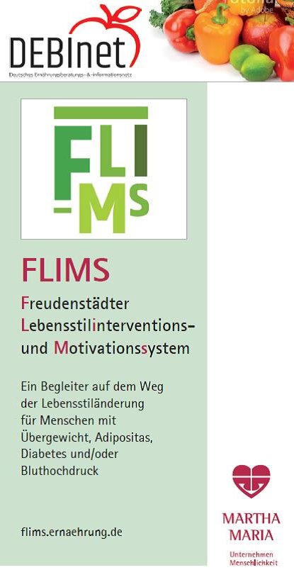 Flyer FLIMS