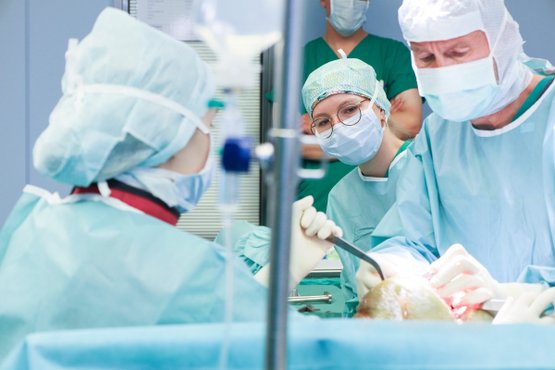 Chirurgen im OP-Saal bei einer Operation im Krankenhaus Martha-Maria Nürnberg.