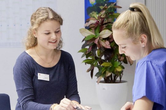 Ausbildung / FSJ & BFD