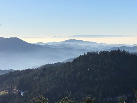 Landschaft Schwarzwald