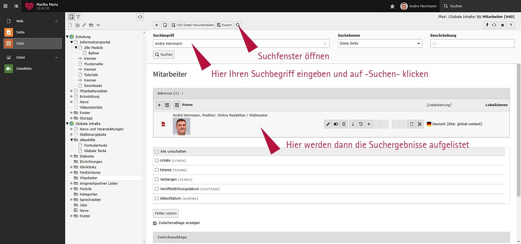Screenshot der Mitarbeiterverwaltung mit Suchfunktion und Ergebnisanzeige im Verwaltungsportal.