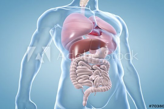 Zentrum für Innere Medizin und Pneumologie