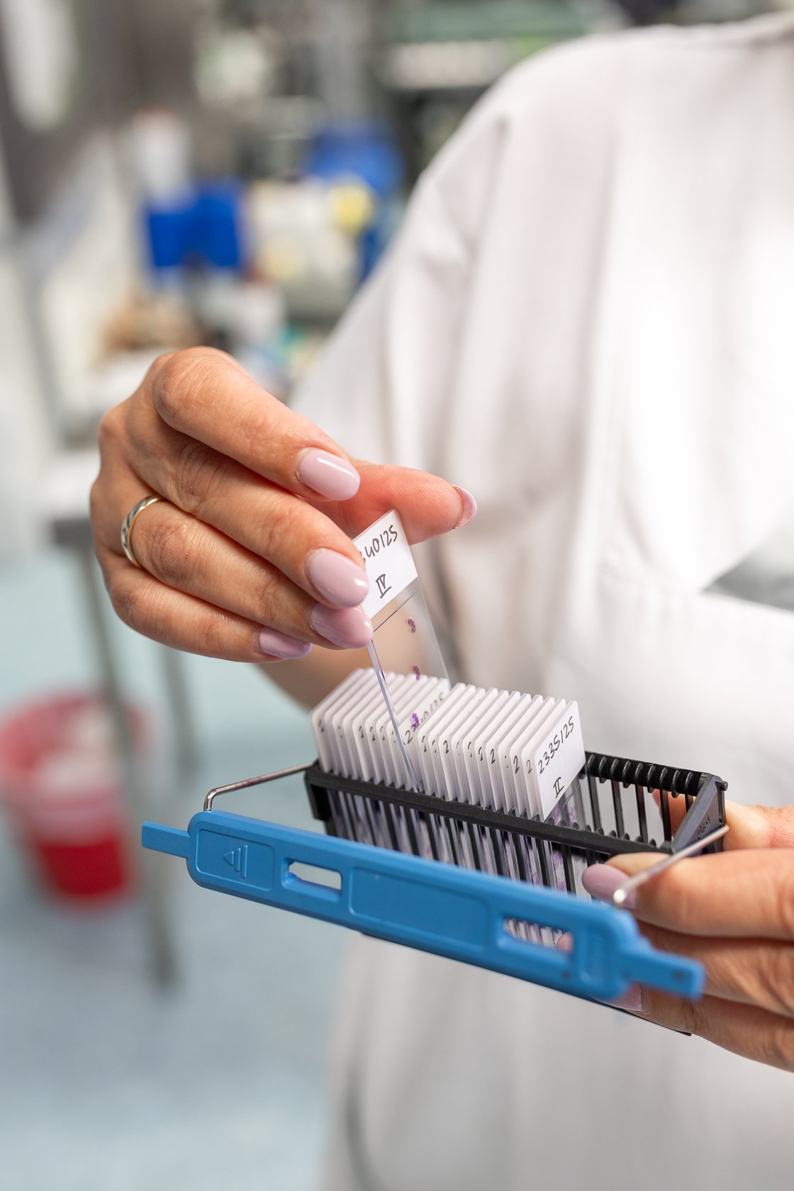 Eine MTLA bei der pathologischen Diagnostik im MVZ Pathologie am Krankenhaus Martha-Maria St. Theresien