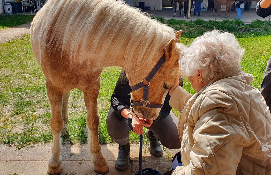 Seniorin streichelt Pferd im Seniorenzentrum Eckental Garten.
