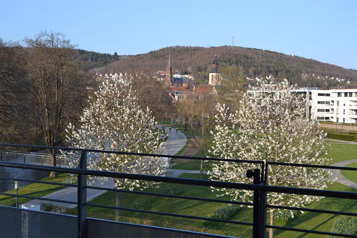 Blick vom Balkon in Richtung Stadt