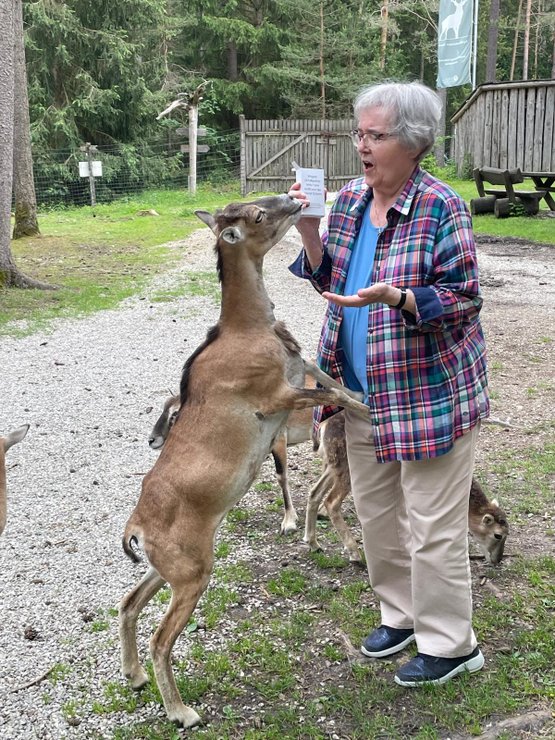 Eine Bewohnerin des Seniorenzentrum Martha-Maria Nürnberg bei einem Ausflug in den Tierpark.