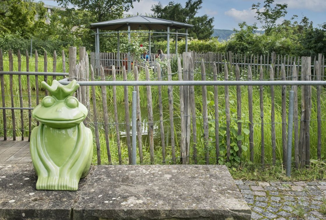 Grüne Froschstatue vor Gartenpavillon im Seniorenzentrum Stuttgart.