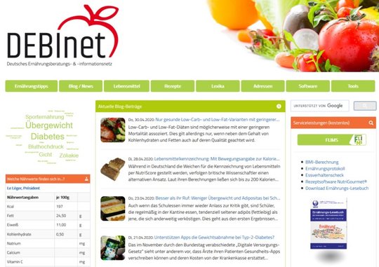 DEBInet Webseite mit Ernährungsinformationen und Rezepten, Logo, Gemüseabbildung.