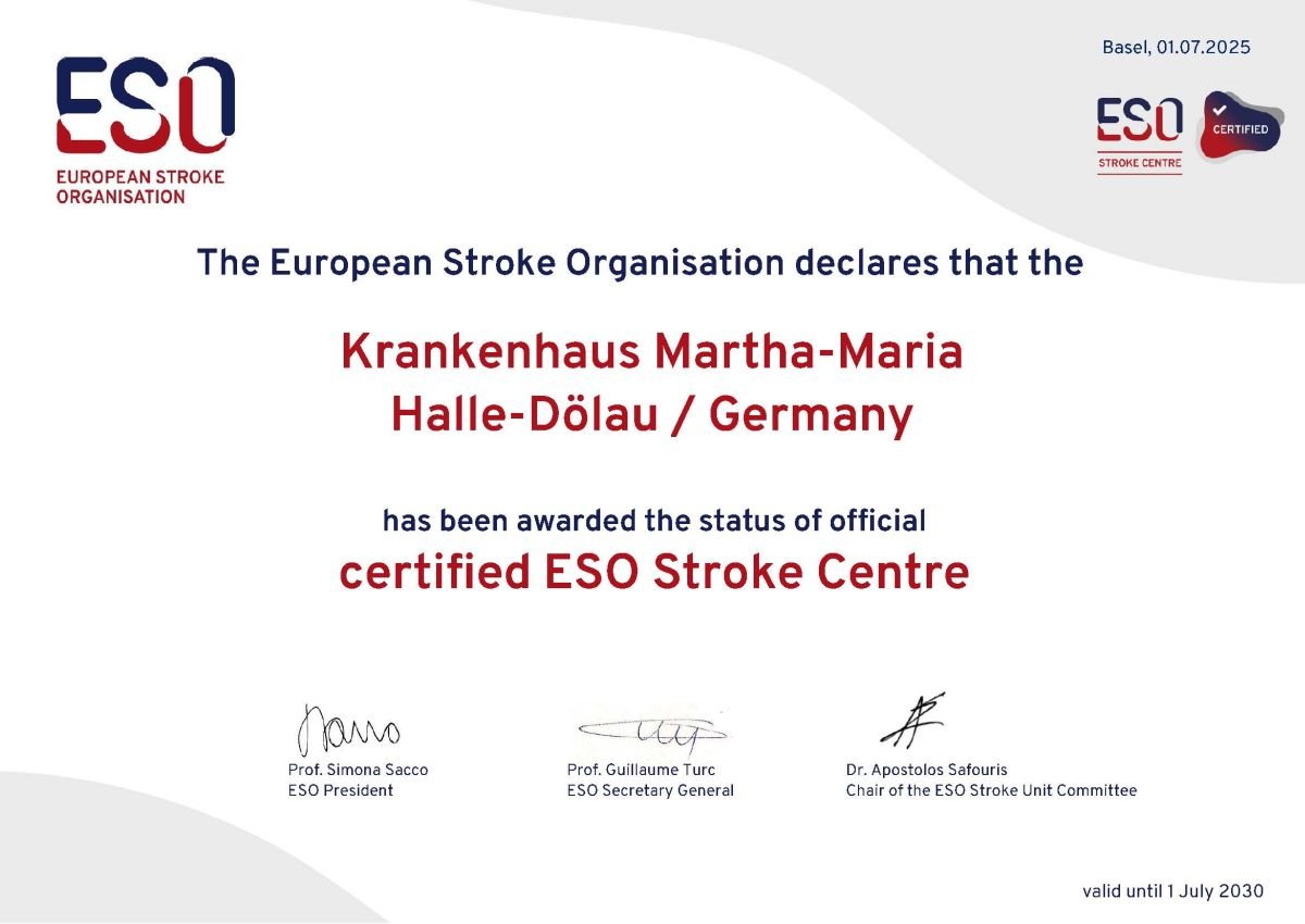 Zertifikat Stroke