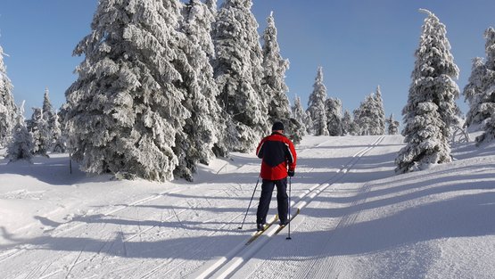 Lungenerkrankungen Skilanglauf im Mittelgebirgsklima