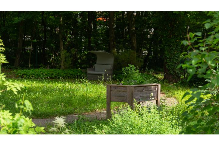 Förderung für klimaangepasste Gärten: Artenschutz und Hitzeschutz in Nürnberg, Nagold und Hochdorf